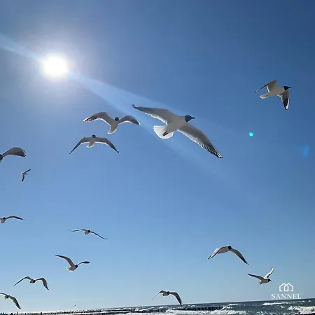 Lux Sea Z Dostepem Do Basenu,saun-pinea Pobierowo-sannel For Rent *