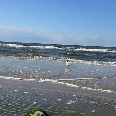 Lux Sea Z Dostepem Do Basenu,saun-pinea Pobierowo-sannel For Rent Поберово